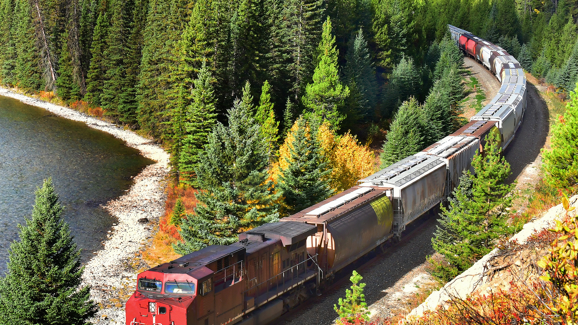 A train passing through the Canadian Rockies in Banff National Park